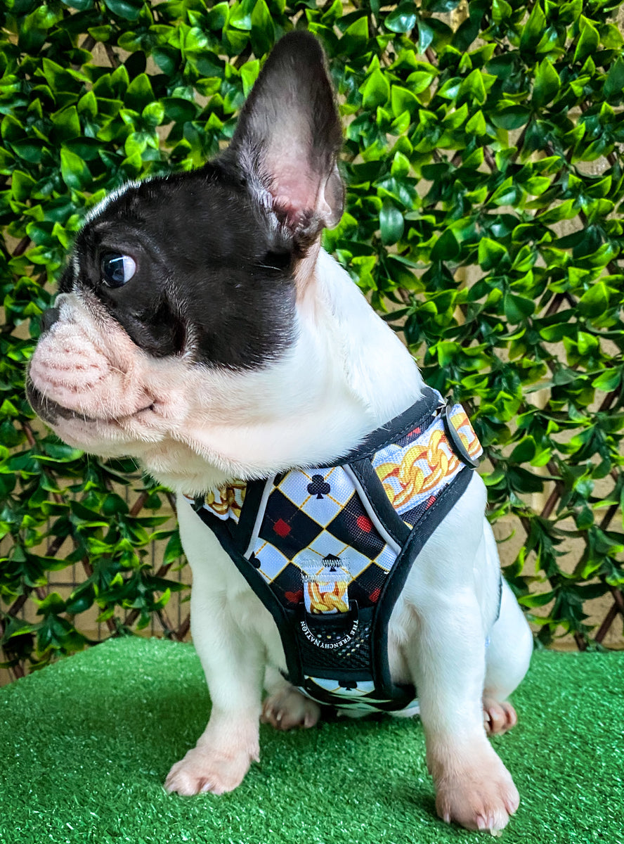 Custom french bulldog harness best sale