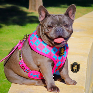 "Queen Of Hearts" Reversible Harness