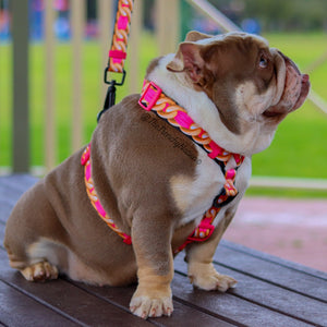Frenchiestore Luxury Dog Leash | Frenchie Love in Pink